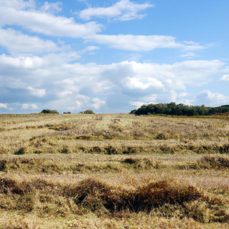 zalety życia na wsi