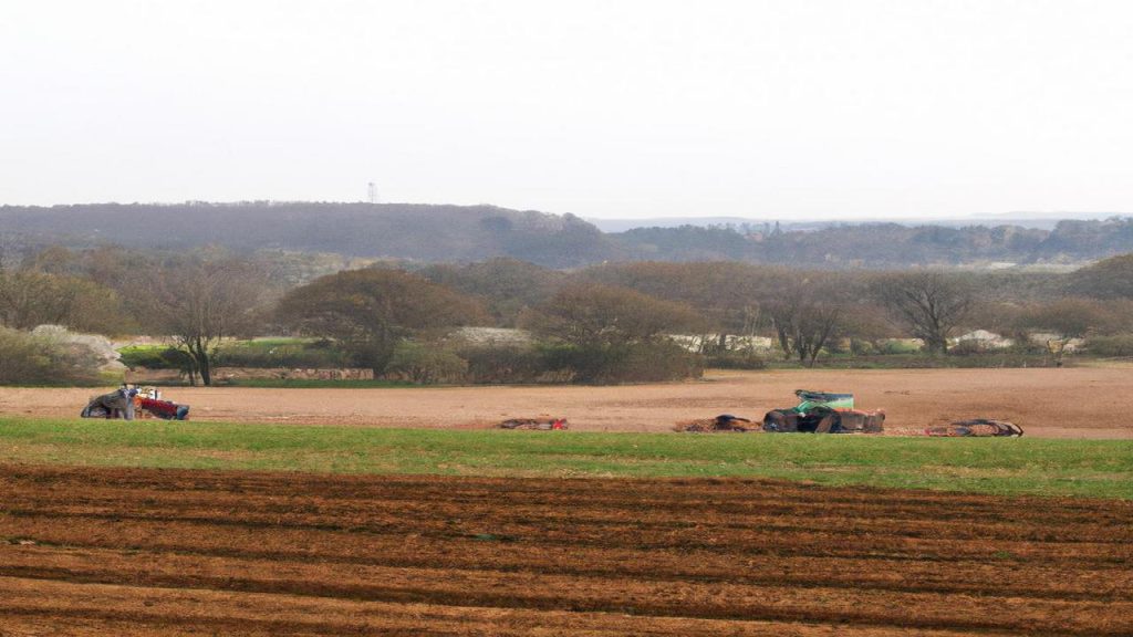 Ile kosztuje hektar ziemi rolnej?